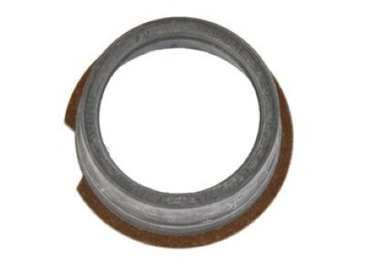 Mopar 68166329AA Seal-Spark Plug Tube