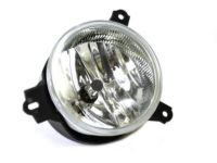 OEM 2003 Dodge Viper Front Fog Lamp - 5029226AB