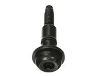 OEM 2020 Chrysler Pacifica Screw - 6509167AA