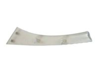 OEM Bezel-HEADLAMP - 1ZT60ZZZAA