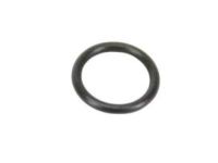 OEM O Ring - 5019705AA