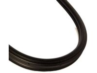 OEM Chrysler 300 WEATHERSTRIP-Front Door Opening - UQ20BD1AC