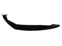 OEM 2010 Dodge Challenger WEATHERSTRIP-Front Door - 55399152AB