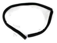 OEM Dodge Ram 3500 Seal-Door - 55277027AD