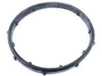 OEM 2017 Ram ProMaster 3500 Seal-THERMOSTAT - 4893377AA