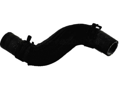 Nissan 21502-5SA0B Hose-Motor, Inlet