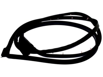 Nissan 80831-4AF2A WEATHERSTRIP Front Door LH