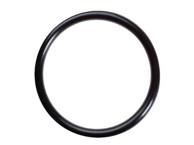 Nissan 22131-12P01 O-Ring