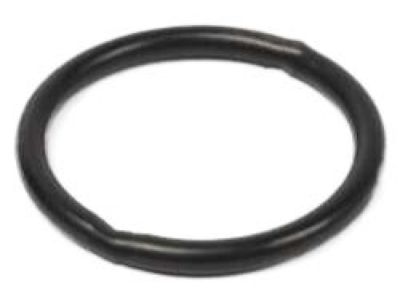 Nissan 20840-5M020 Washer-Wire Mesh