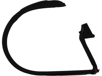 Nissan 76861-CD000 Weatherstrip-Body Side, LH