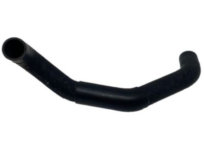 Nissan 21503-EV00A Hose-Radiator, Lower