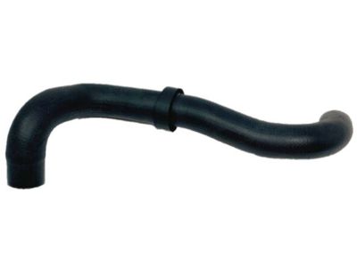 Nissan 21505-86G06 Hose-Radiator Lower, Rear