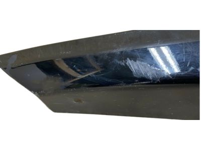 Nissan 93820-ZY95A Mud Guard