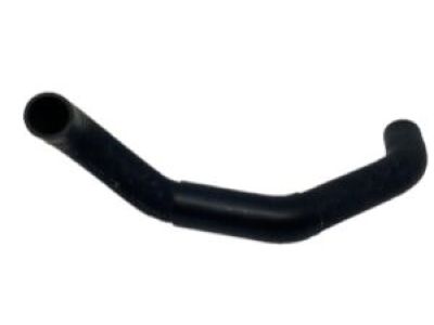 Nissan 21503-70F00 Hose-Radiator Lower