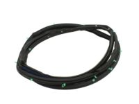 OEM 2003 Nissan Pathfinder Weatherstrip-Front Door, RH - 80830-3W400