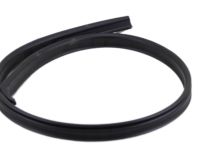 OEM 1991 Nissan Pathfinder WEATHERSTRIP-Roof Drip, R - 76842-01G11