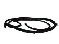 OEM 2014 Nissan NV2500 Weatherstrip-Front Door, LH - 80831-1PA0B