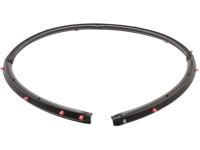 OEM Nissan Xterra Weatherstrip-Rear Door, LH - 82831-ZS20A