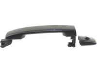 OEM 2007 Nissan Frontier Front Outside Door Handle Assembly, Left - 80607-EA550