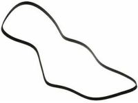 OEM 2019 Nissan Frontier Alternator Belt - 11720-EA001