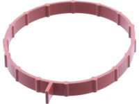 OEM Nissan Frontier Gasket-Adapter - 16175-EA000