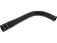 OEM Nissan Frontier Hose-Filler - 17228-EB005