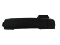 OEM 2017 Nissan Titan XD Outside Handle Grip - 80640-EZ03A