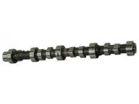 OEM Nissan Xterra Camshaft Assy - 13061-1W696