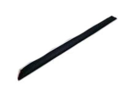 Toyota 75742-33091-E1 Body Side Molding