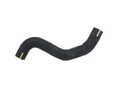 Toyota 16571-62070 Upper Hose