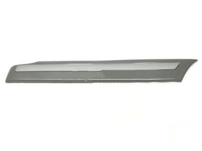 Toyota 75651-60180-H2 Body Side Molding