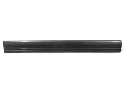 Toyota 75732-60120-E1 Body Side Molding