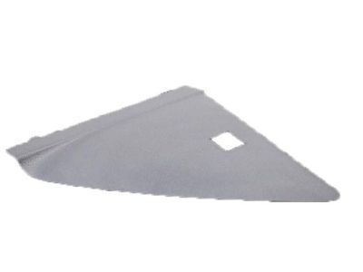 Toyota 55318-F4010-C0 Side Cover