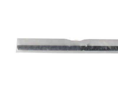 Toyota 75670-60020 Belt Molding