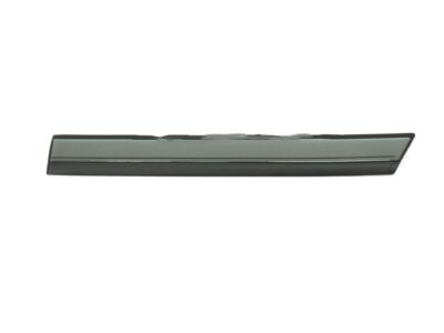 Toyota 75742-60090 Body Side Molding