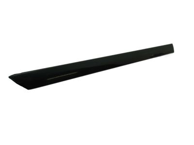 Toyota 75651-06020-C0 Body Side Molding