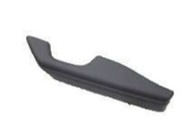 OEM 2020 Toyota RAV4 Handle, Outside - 69210-30380-C2