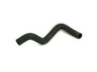 OEM Scion Lower Hose - 16572-28040