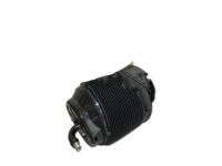 OEM 2020 Toyota Sequoia Air Cylinder - 48090-34010