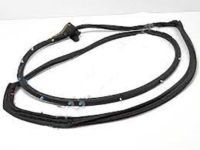 OEM 2019 Toyota Land Cruiser Door Weatherstrip - 67861-60150