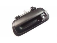 OEM Toyota Tundra Handle - 69090-0C010