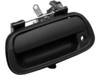 OEM Toyota Handle - 69090-0C030-C0