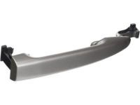 OEM 2006 Toyota Sienna Handle, Outside - 69213-08010-B0