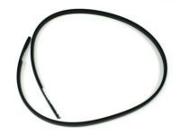 OEM 2007 Toyota Yaris Belt Weatherstrip - 68174-52130