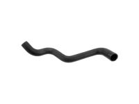 OEM Toyota 4Runner Hose - 16282-75010