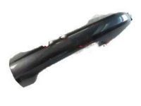 OEM 2020 Toyota Tacoma Handle, Outside - 69211-0E010-D1