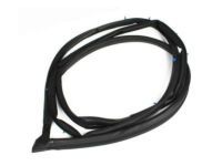 OEM 2004 Toyota Echo Door Weatherstrip - 67862-52010