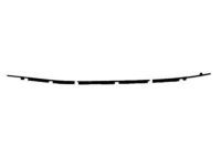 OEM 1997 Toyota RAV4 Belt Weatherstrip - 75710-42010