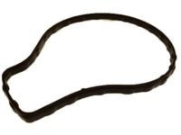 OEM Scion Water Pump Belt - 90118-WB464