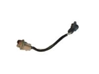 OEM 2005 Toyota Highlander Socket & Wire - 81555-48050